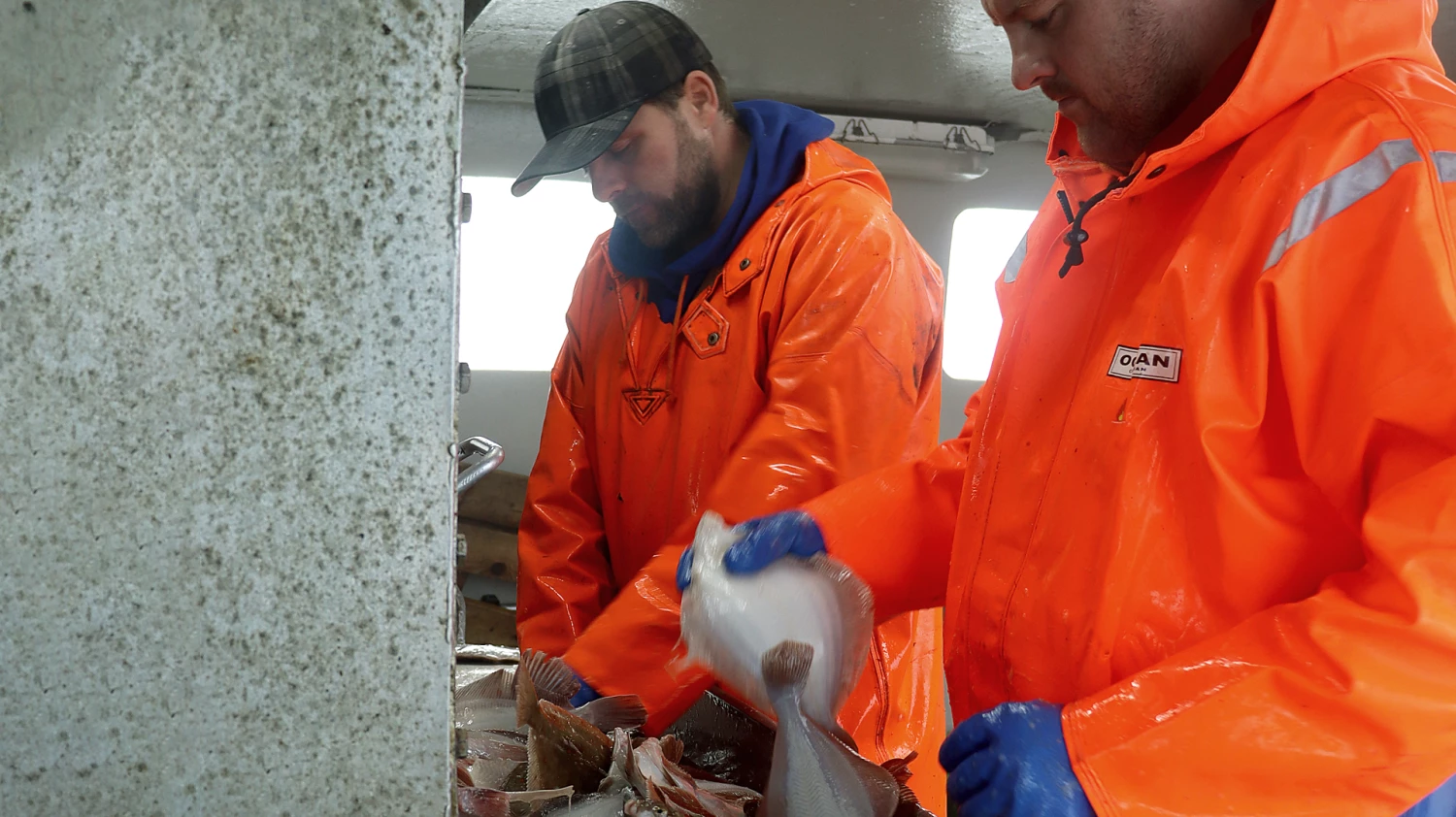 Ocean Verkaufsgeschäft -Ocean Verkaufsgeschäft Ocean brand working